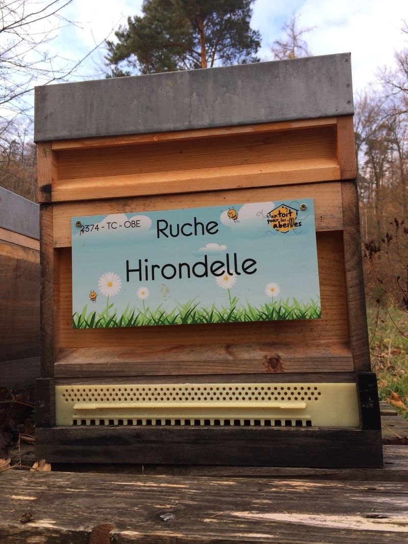 La ruche Hirondelle