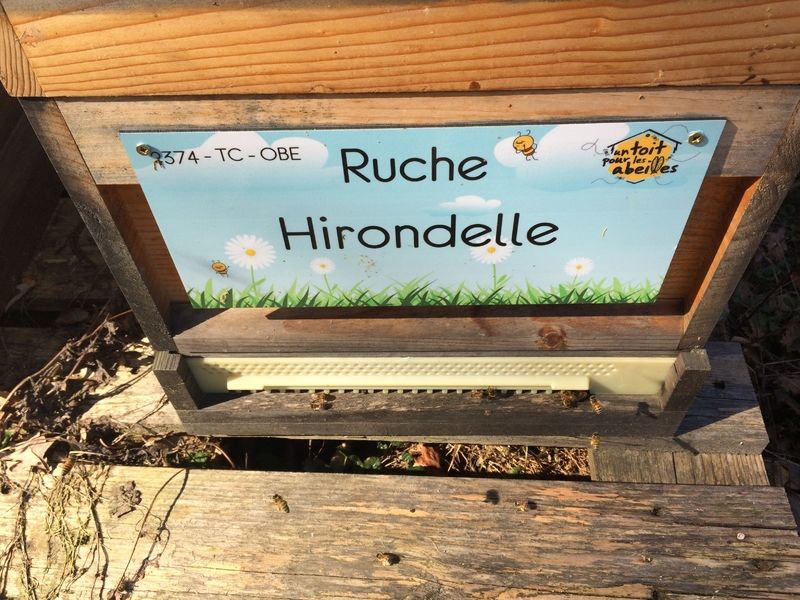 La ruche Hirondelle