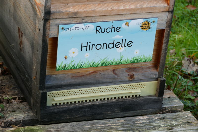 La ruche Hirondelle