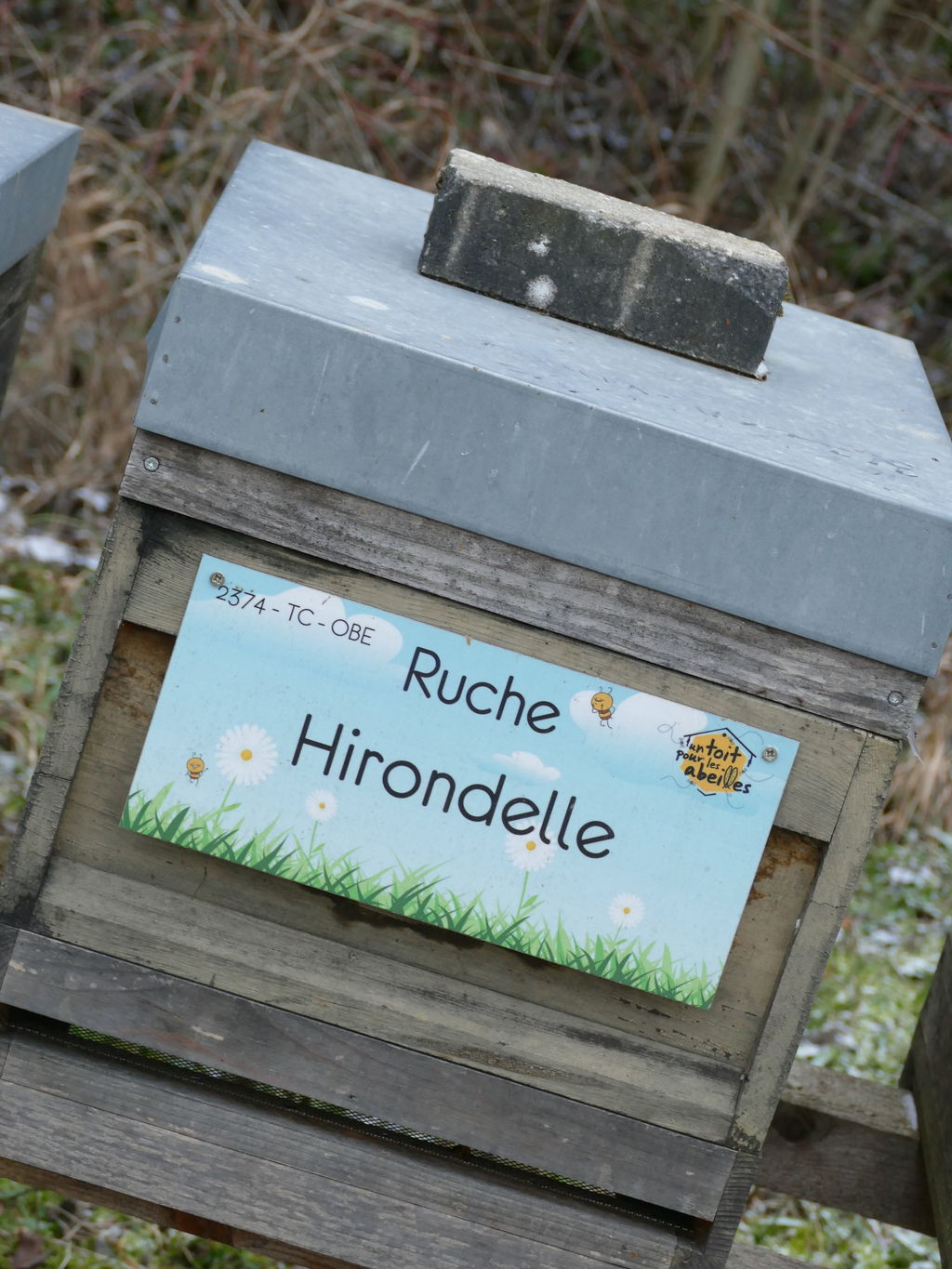 La ruche Hirondelle