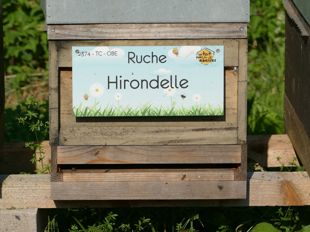 La ruche Hirondelle