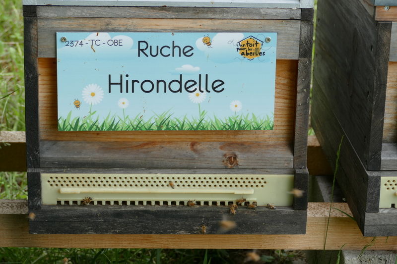 La ruche Hirondelle
