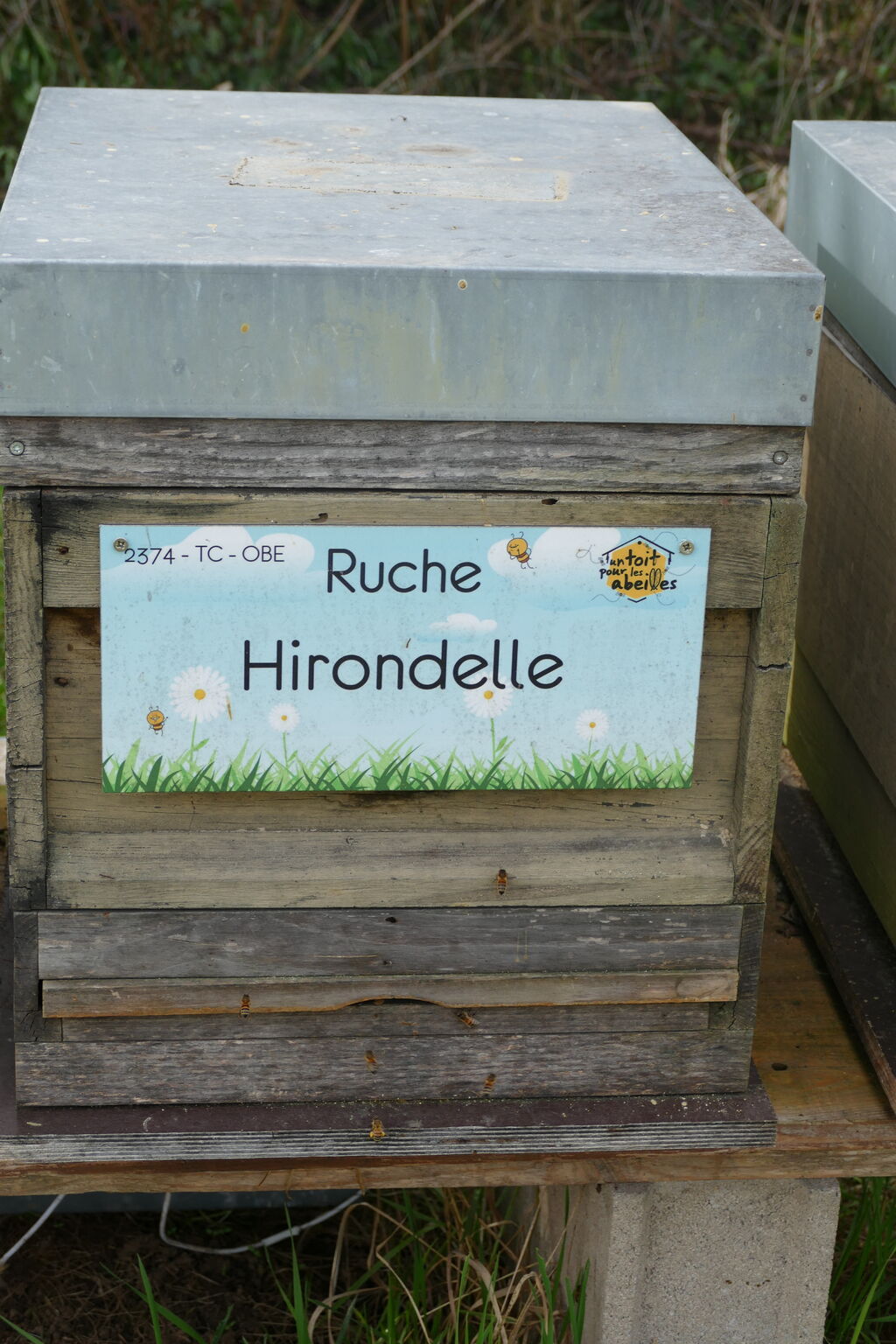 La ruche Hirondelle