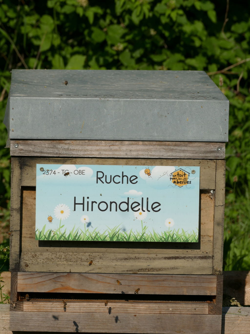 La ruche Hirondelle