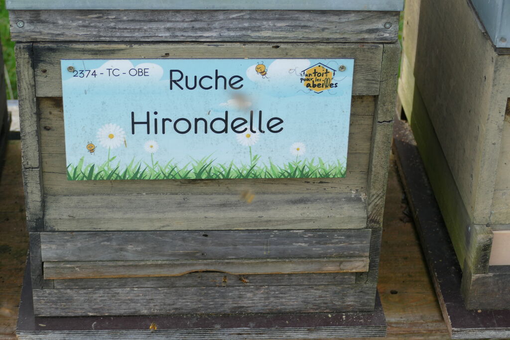 La ruche Hirondelle