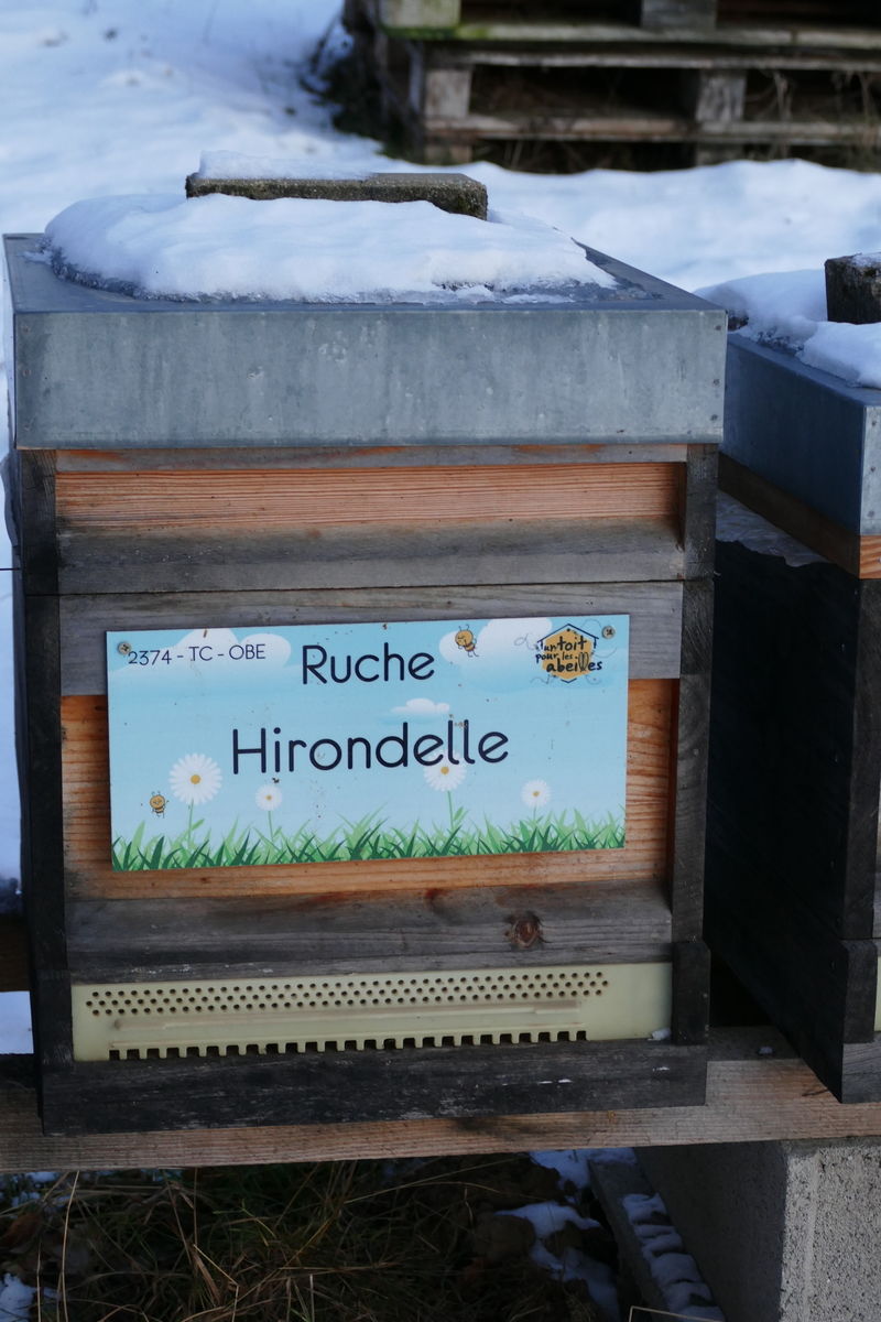 La ruche Hirondelle