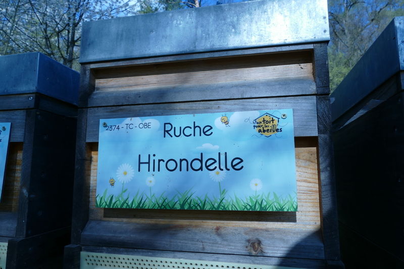 La ruche Hirondelle