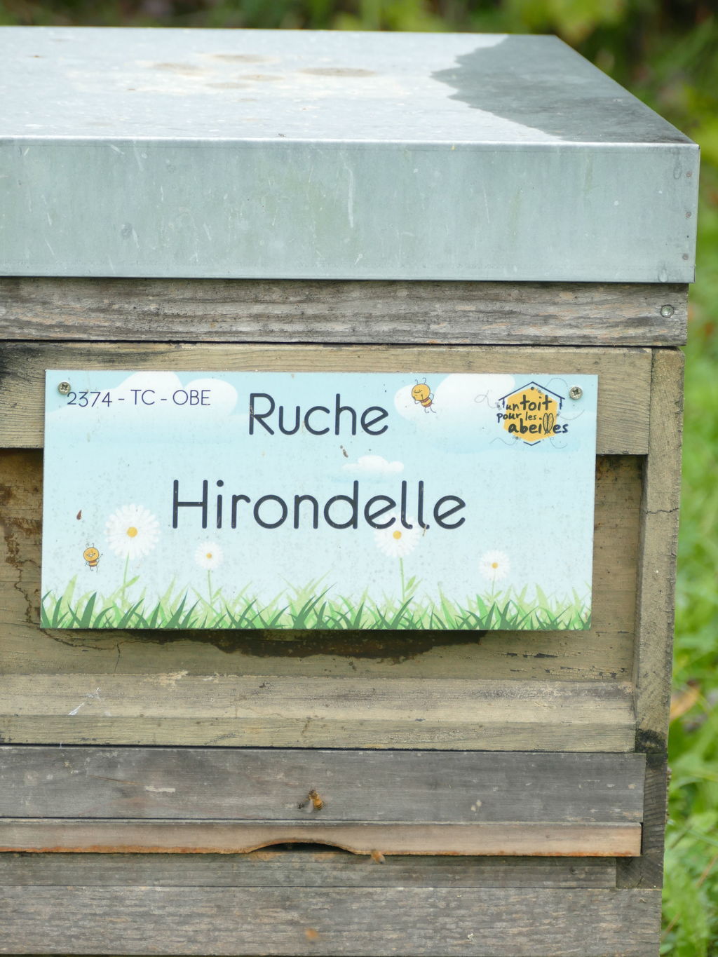 La ruche Hirondelle