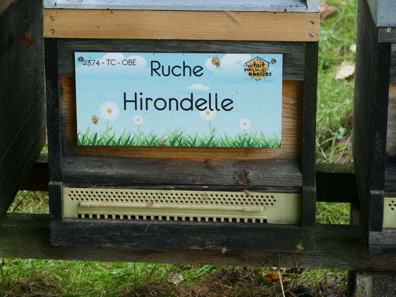 La ruche Hirondelle