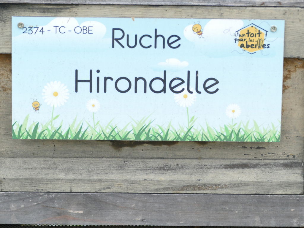 La ruche Hirondelle