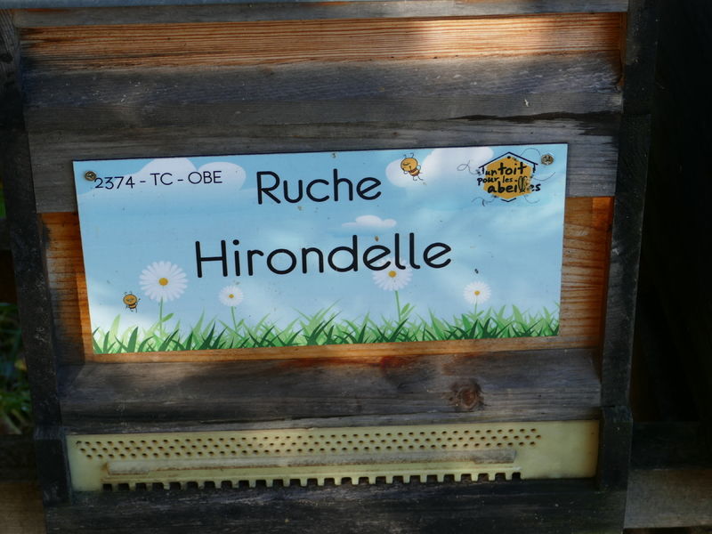 La ruche Hirondelle