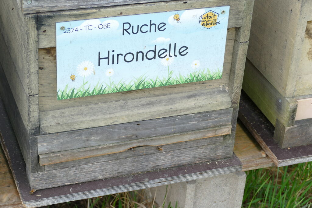 La ruche Hirondelle