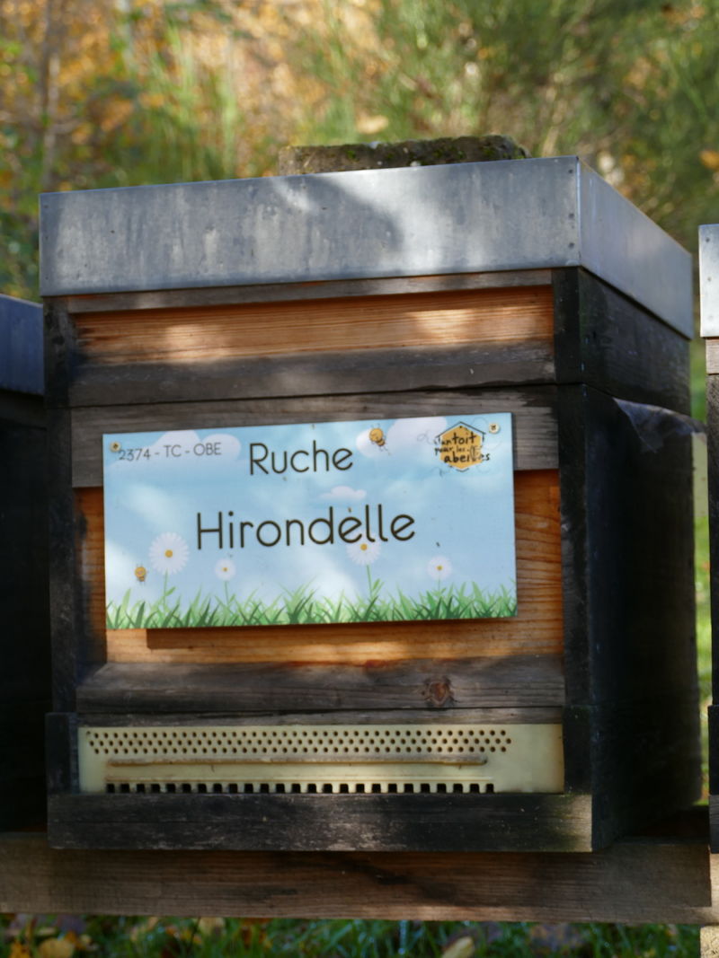 La ruche Hirondelle