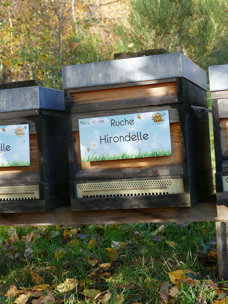 La ruche Hirondelle