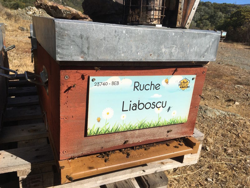La ruche Liaboscu