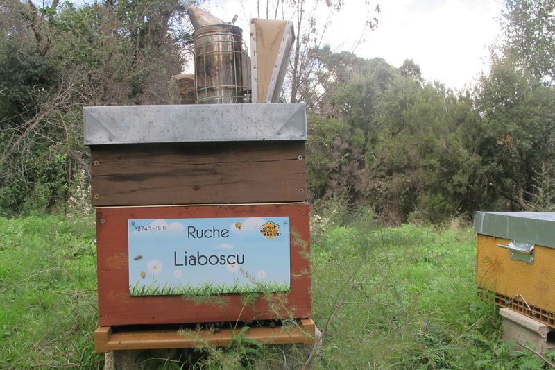 La ruche