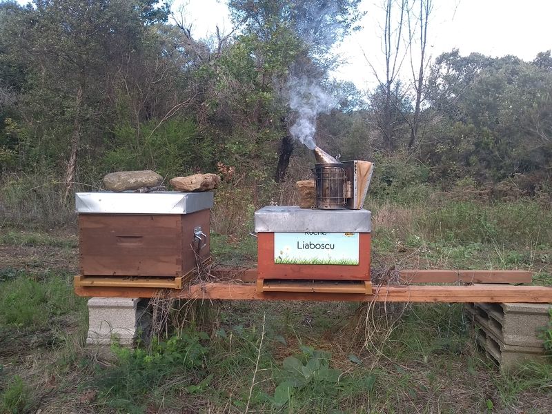 La ruche Liaboscu