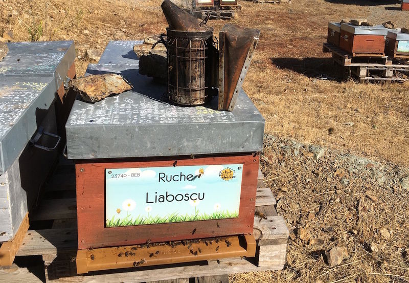 La ruche Liaboscu