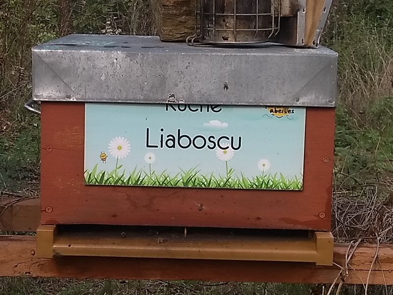 La ruche Liaboscu