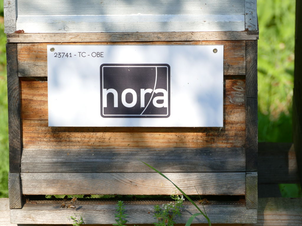 Nora Distribution