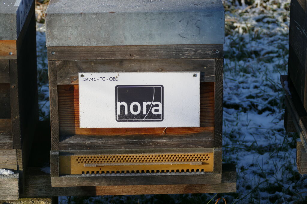 La ruche NORA DISTRIBUTION