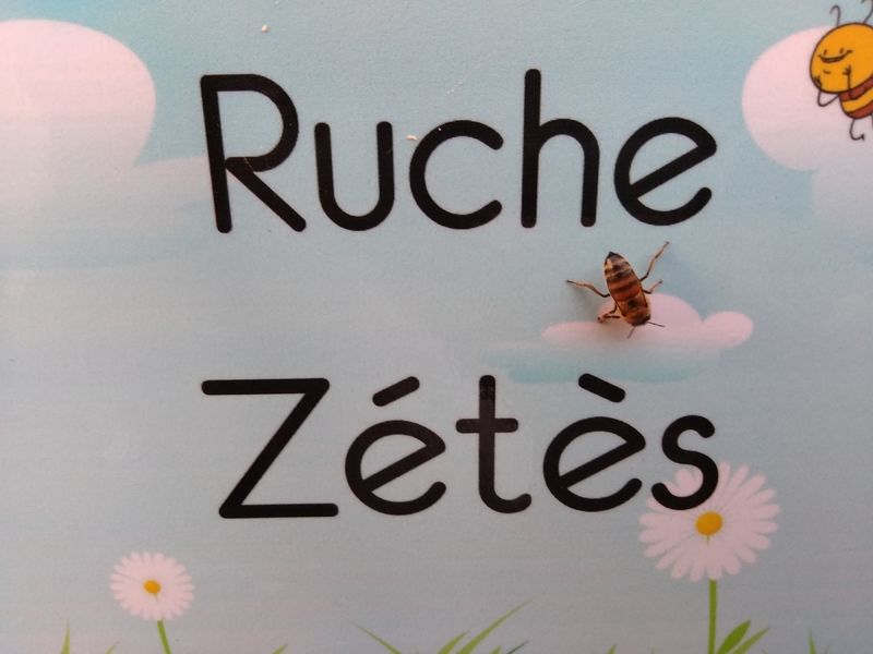 La ruche Zétès