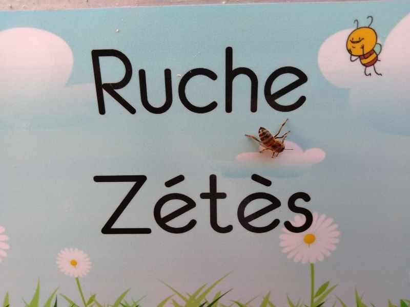 La ruche Zétès