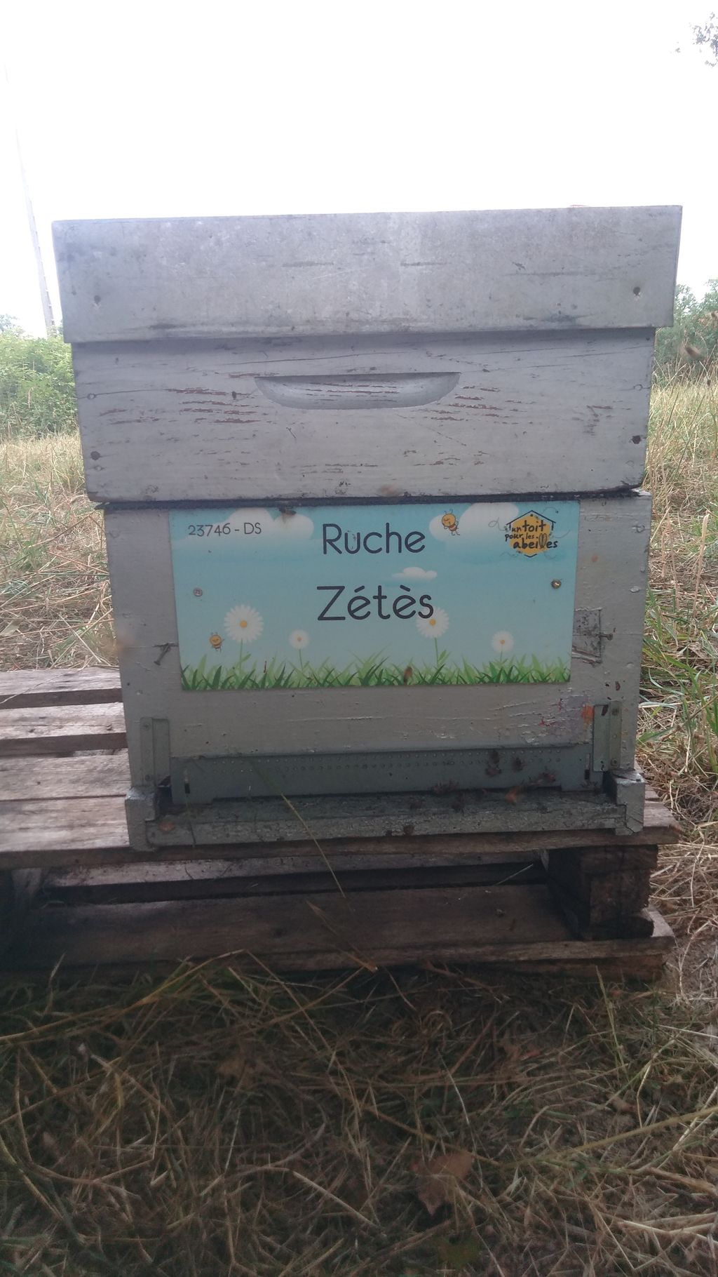 La ruche Zétès