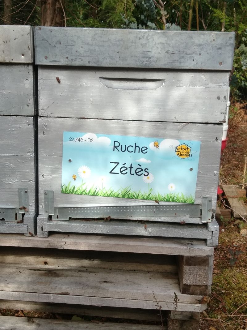 La ruche Zétès