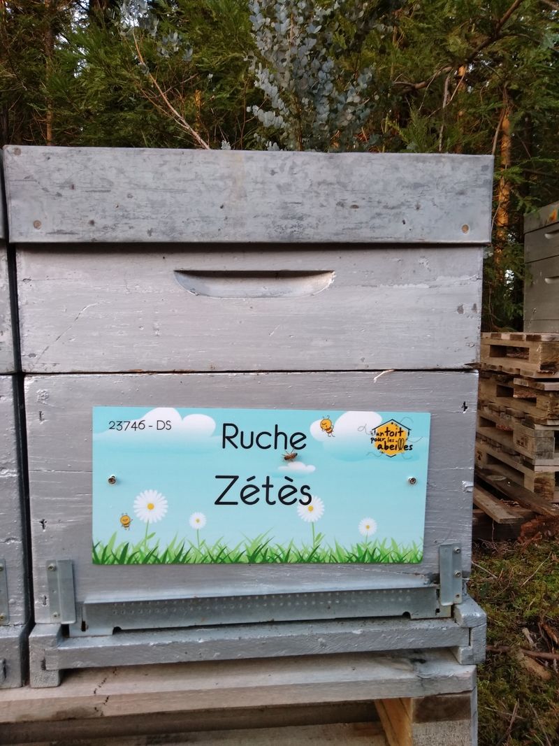 La ruche Zétès