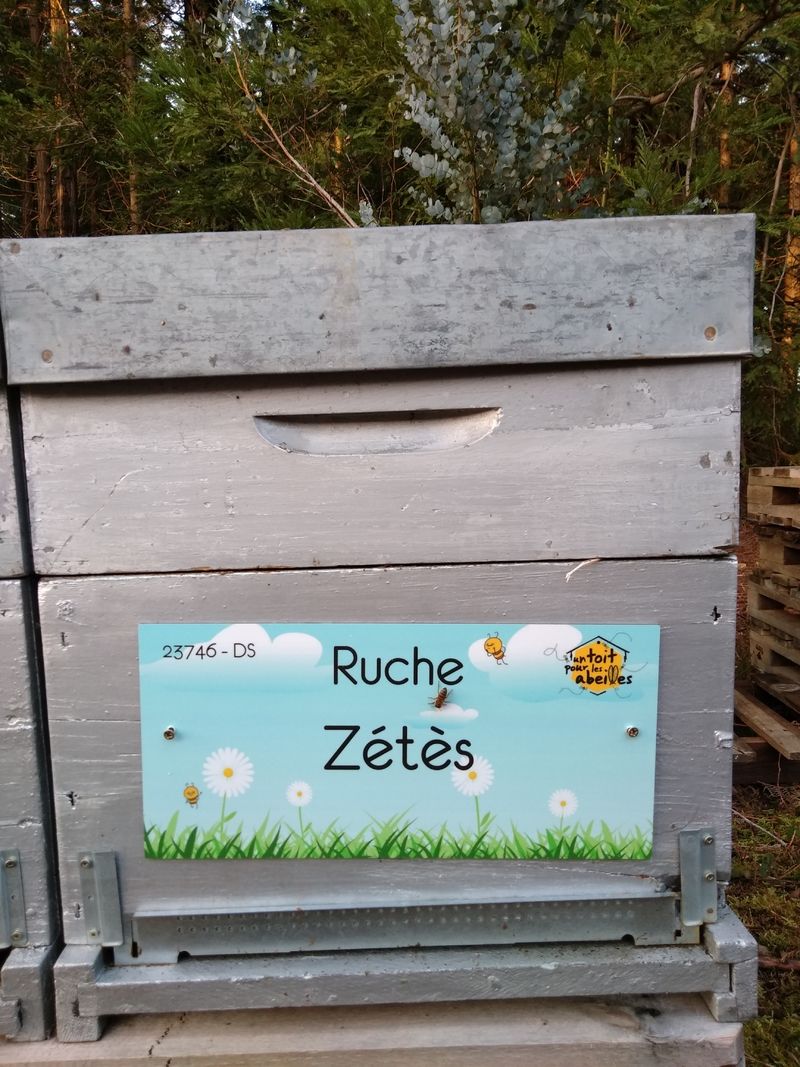 La ruche Zétès