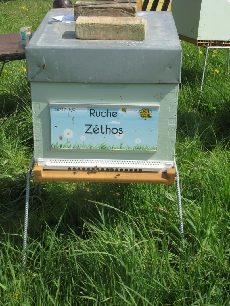 La ruche Zéthos