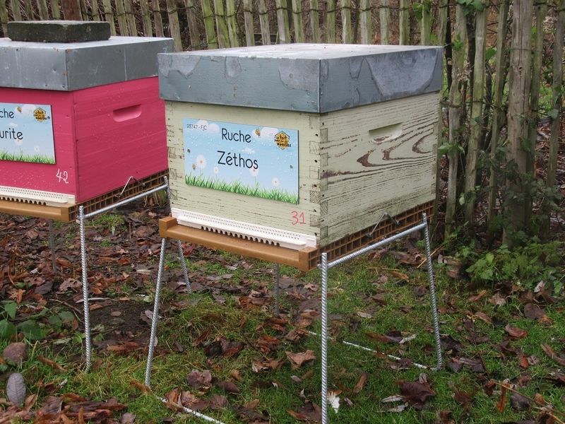 La ruche Zéthos