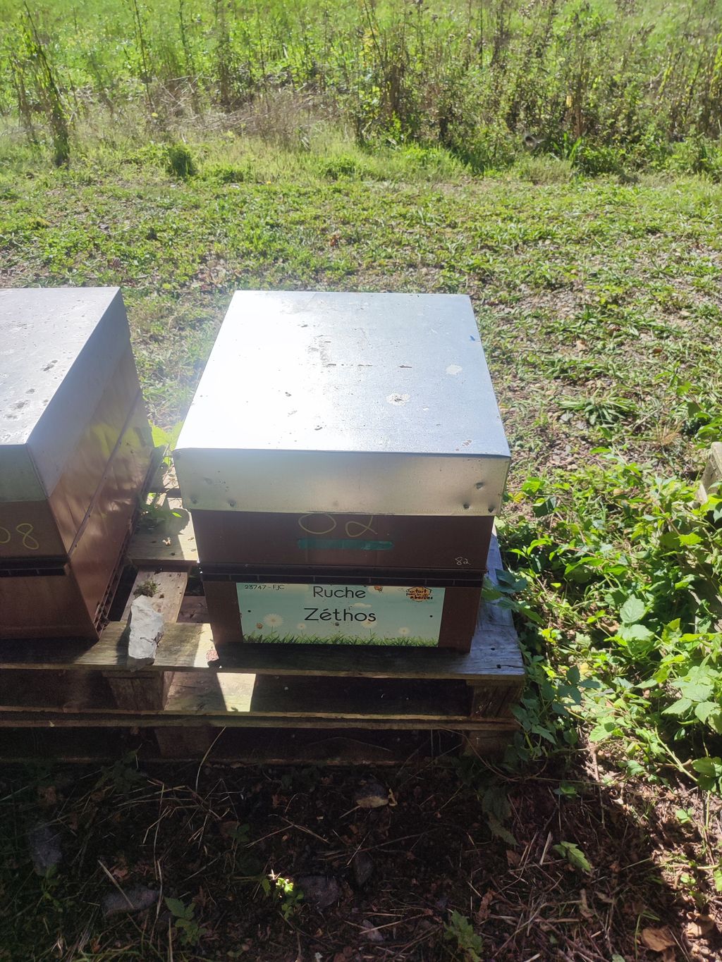 La ruche Zéthos