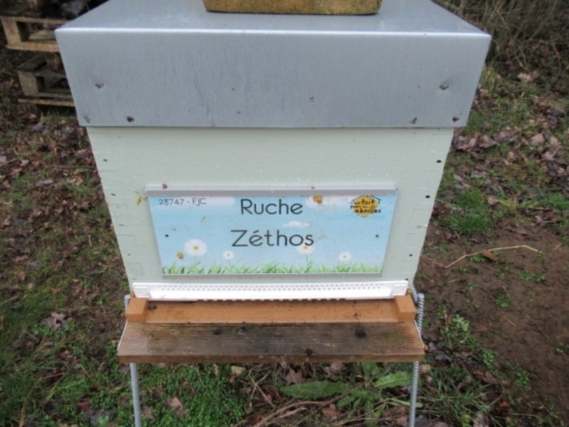 La ruche Zéthos