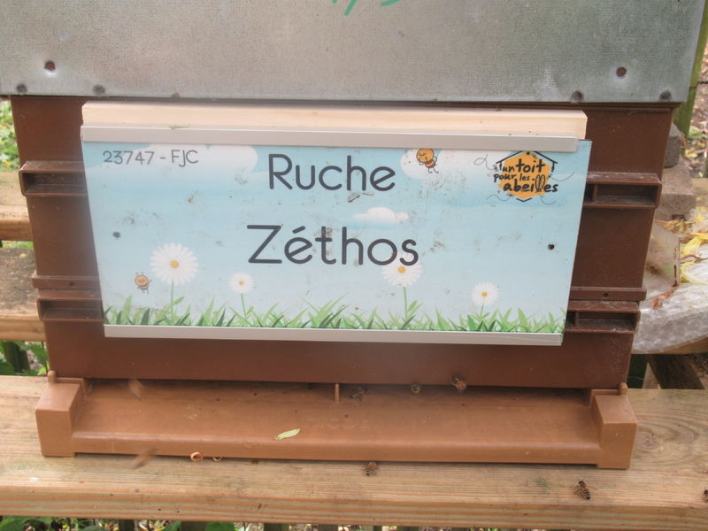 La ruche Zéthos