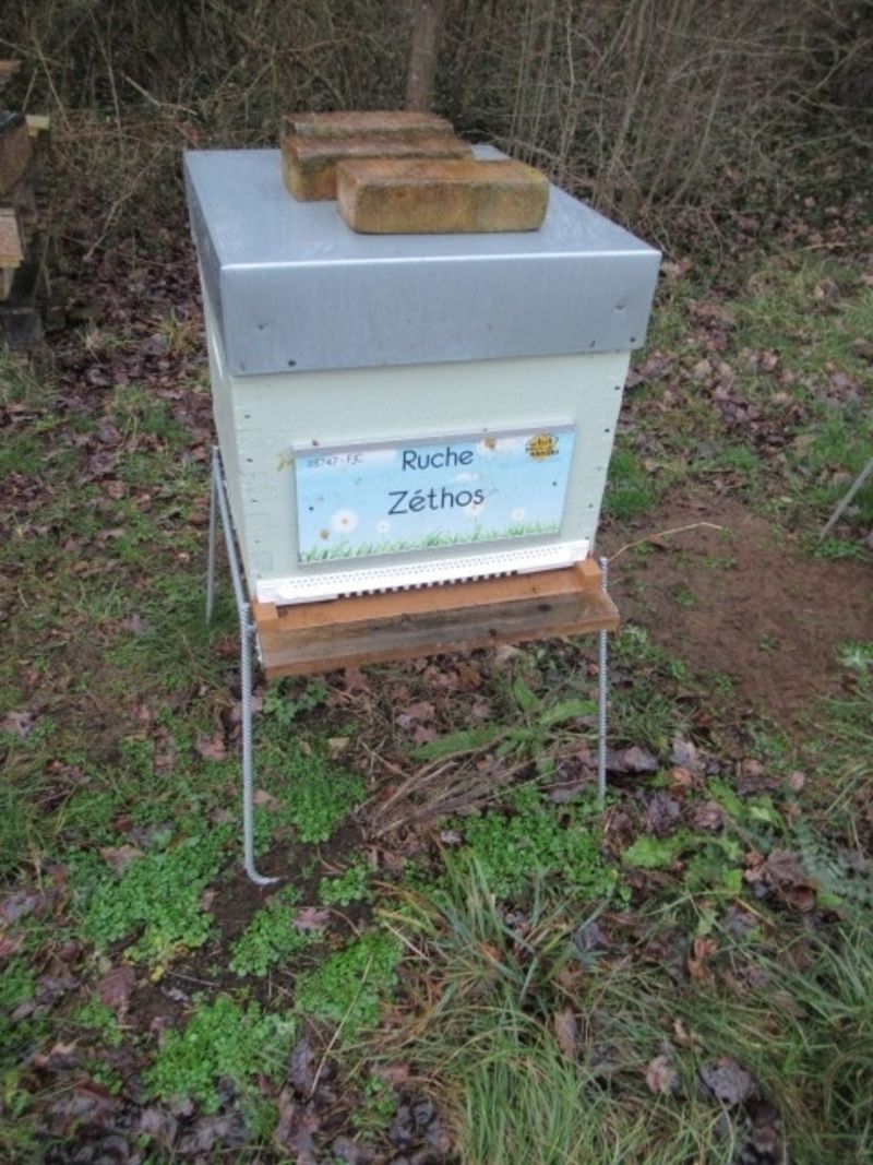 La ruche Zéthos