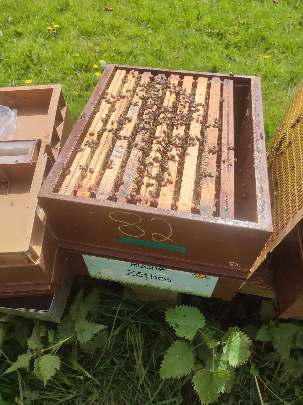 La ruche Zéthos