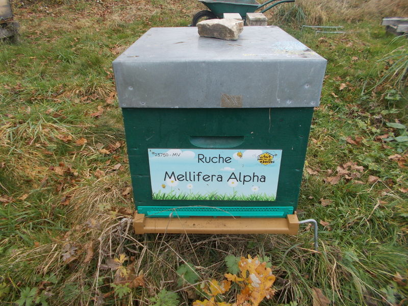 La ruche Mellifera Alpha