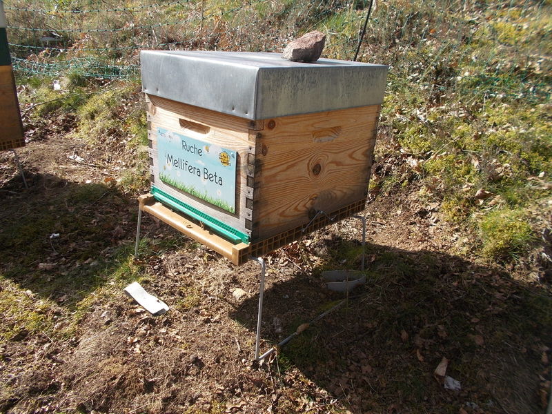 La ruche Mellifera Beta