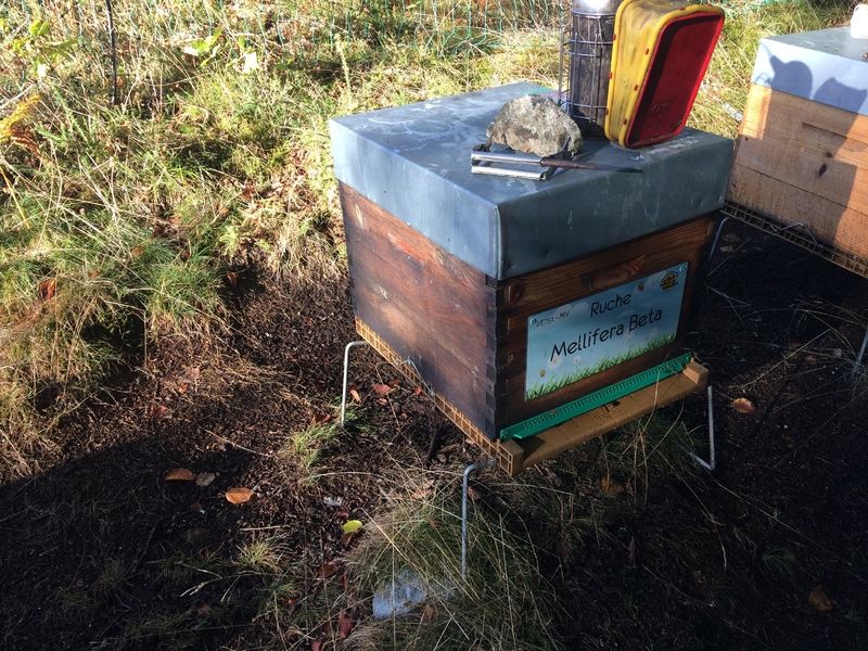 La ruche Mellifera Beta