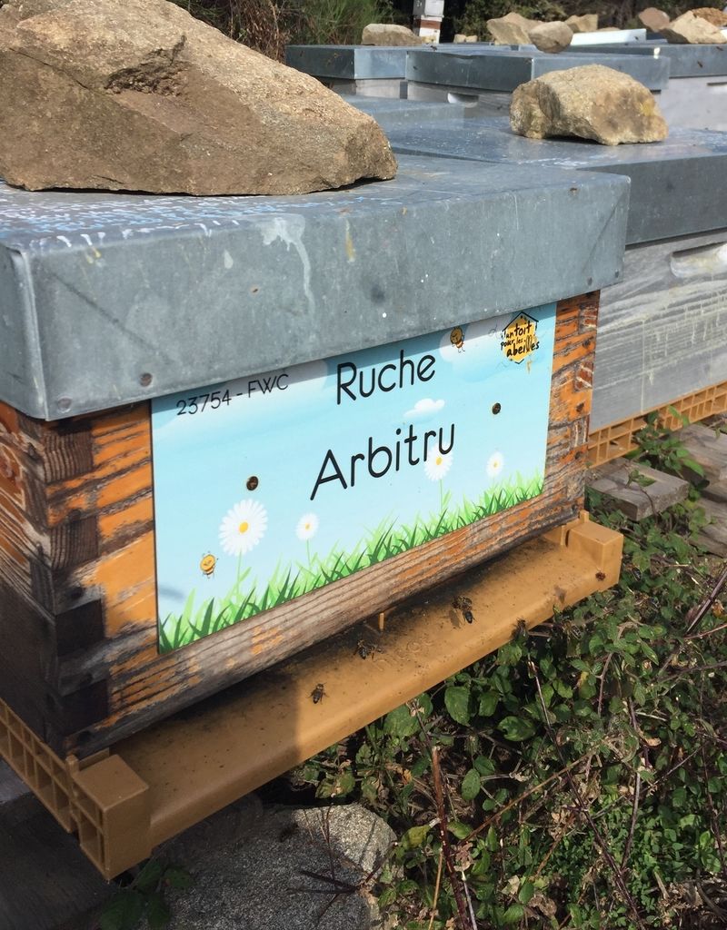 La ruche Arbitru