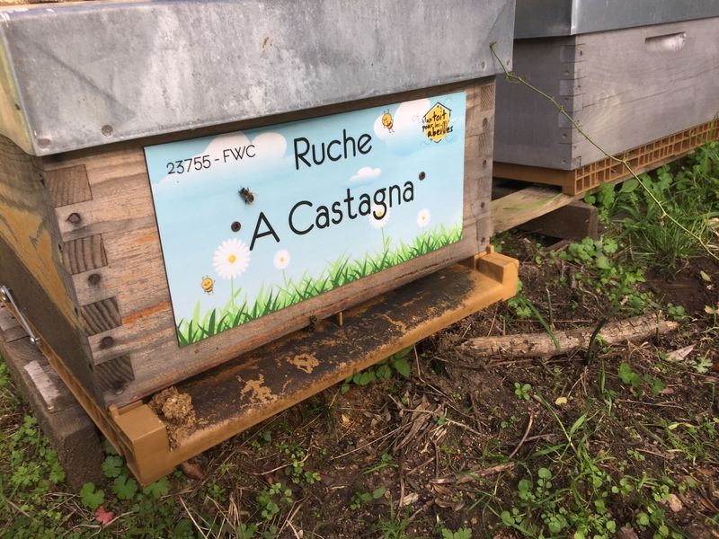 La ruche A Castagna