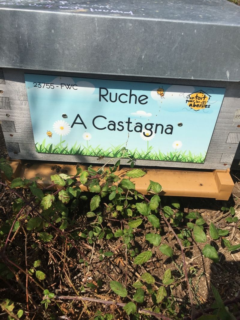 La ruche A Castagna