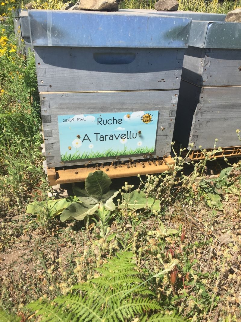 La ruche A Taravellu