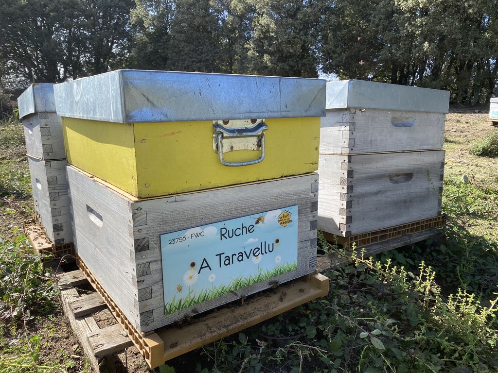 La ruche A Taravellu