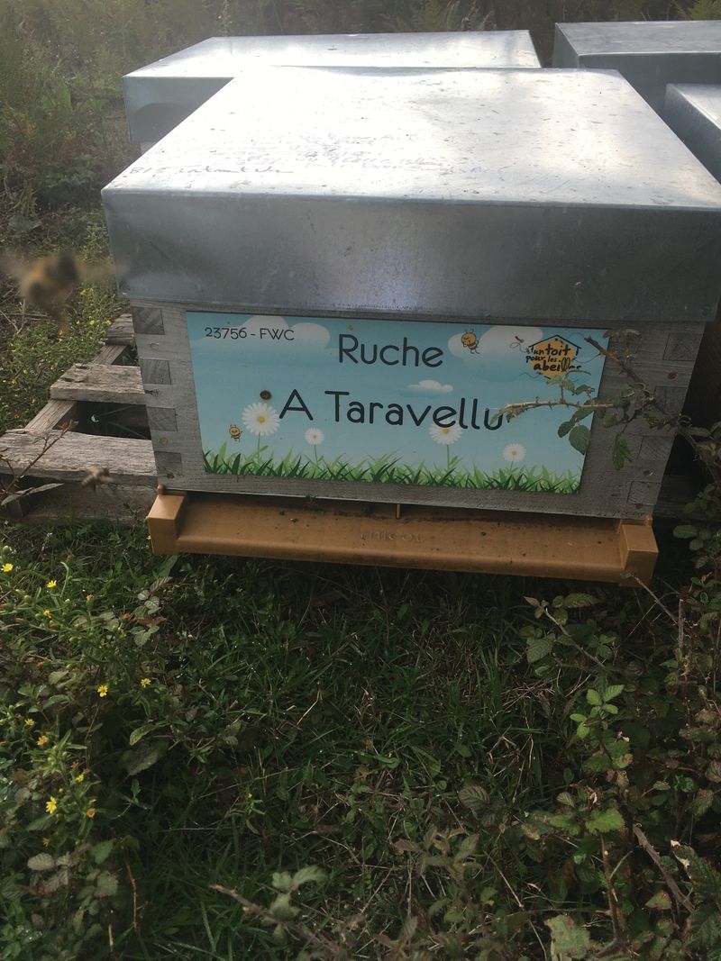 La ruche A Taravellu