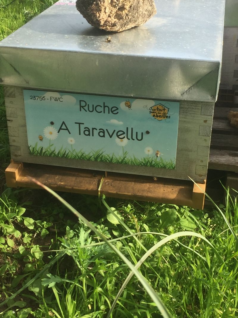 La ruche