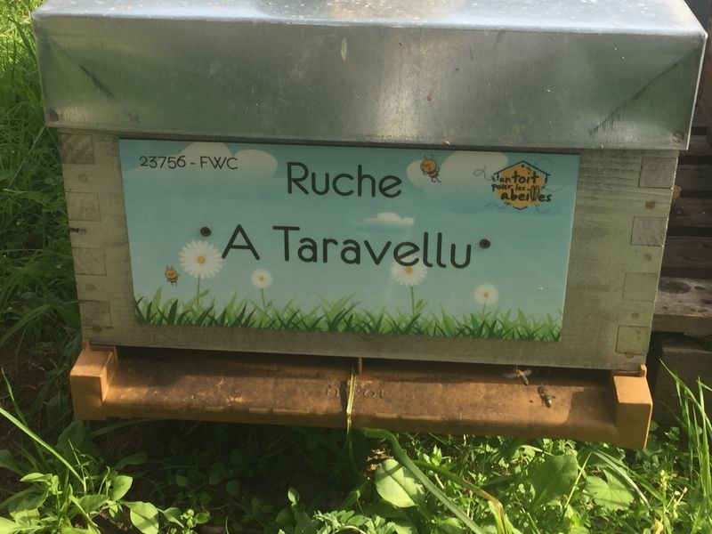La ruche A Taravellu