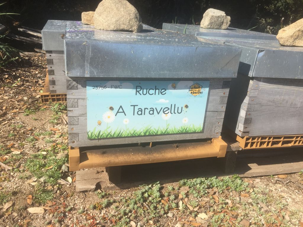La ruche A Taravellu